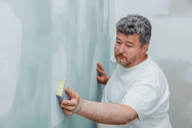 Best Drywall Crack Repair  in Strawberry Plains, TN